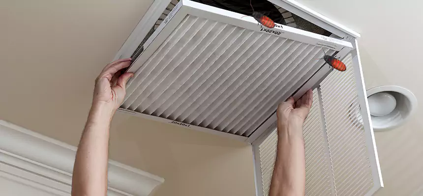 Preventive Cockroach-Proofing for Ducts in Euless