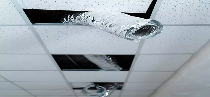 Affordable HVAC Sanitizing After Pest Removal in Euless