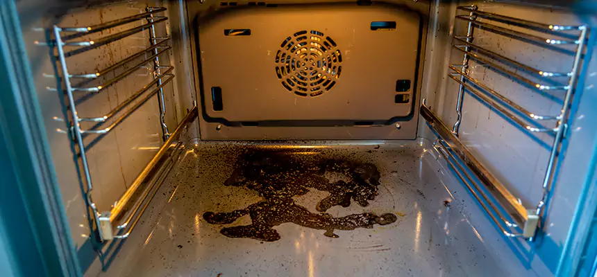 Our Dryer Vent Mold Cleaning Services in Euless, TX