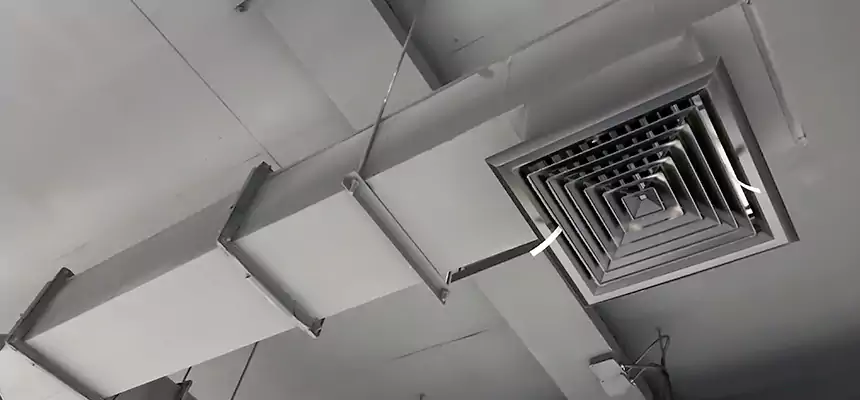 Our Rodent Droppings In Vents Services in Euless, TX