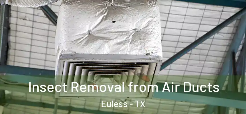  Insect Removal from Air Ducts Euless - TX