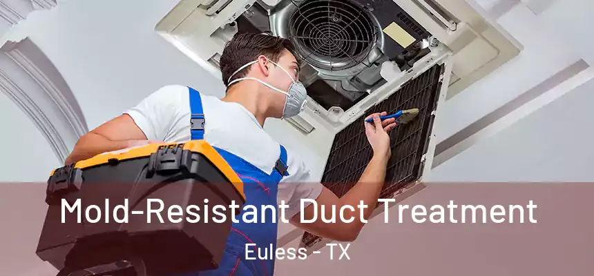  Mold-Resistant Duct Treatment Euless - TX