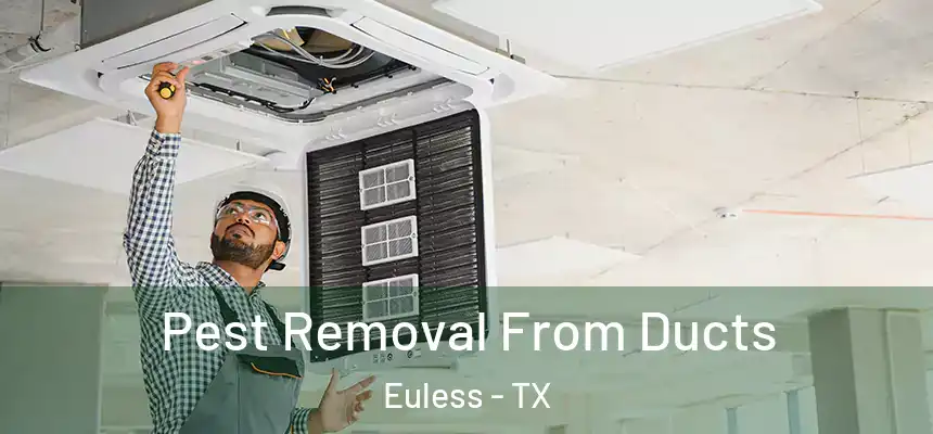  Pest Removal From Ducts Euless - TX