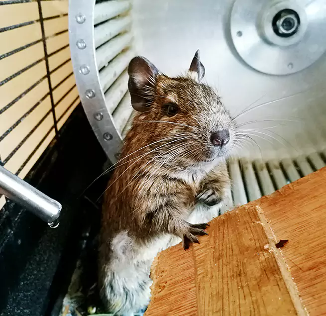 Why Homeowners & Businesses Trust Us Euless, TX?