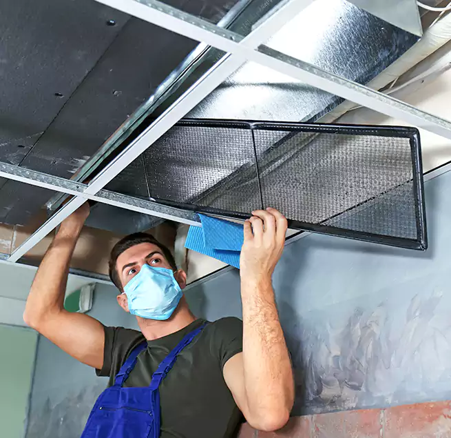 Why Homeowners Businesses Trust Us in Euless, TX